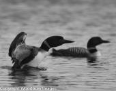 Stretching B/W