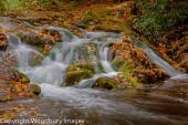 Water Cascade 1