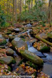 Water Cascade 2