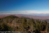 Smoky Mountains 4