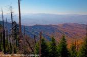 Smoky Mountains 7