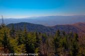 Smoky Mountains 10