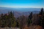 Smoky Mountains 12