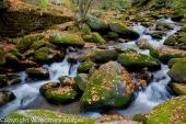 Water Cascade 3